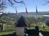 1_schloss-Wildegg-05