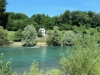 File 036