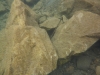 P1150304