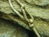P1150372