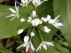Ostern_17 (1)