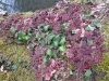 Ostern_17 (10)