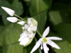 Ostern_17 (2)
