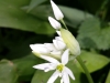 Ostern_17 (3)