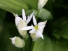 Ostern_17 (4)
