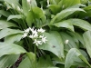 Ostern_17 (6)