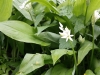 Ostern_17 (7)