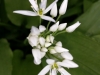 Ostern_17 (8)