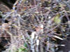 IMG_5172