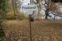 Platzputzete