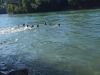 image10