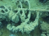 P1170004