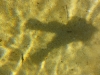 P1170039