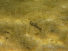 P1170041