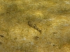 P1170042
