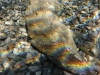 P1170048