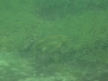 P1170053