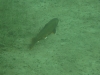 P1170059