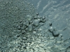 P1170075
