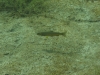 P1170079