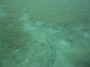 P1170119