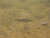 P1170141