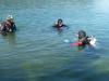 141