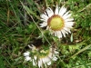 P1140244