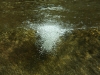 p1100840