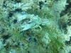 p1070833