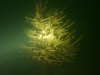 P1150792