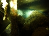 P1150901