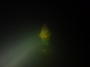P1150913