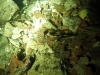 P1160002